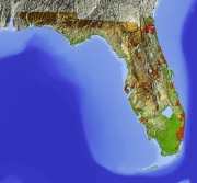 Shaded Relief Map of Florida